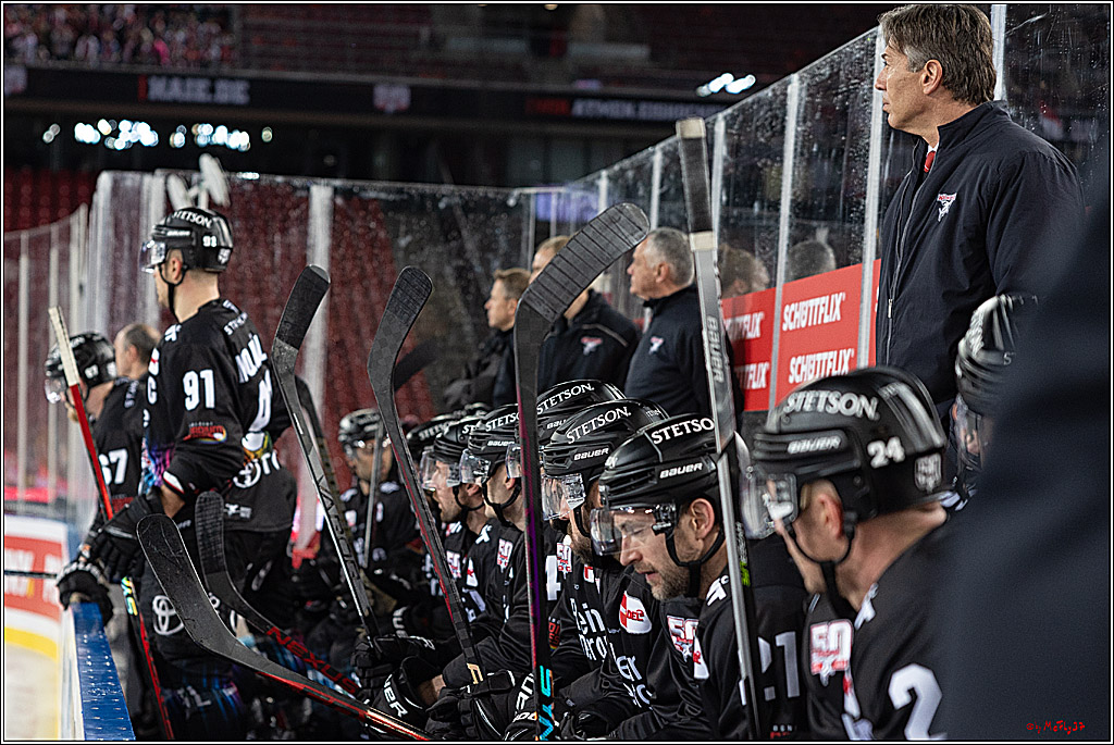PENNY DEL;  Kölner Haie - Fischtown Pinguins; Köln, 22.12.2022